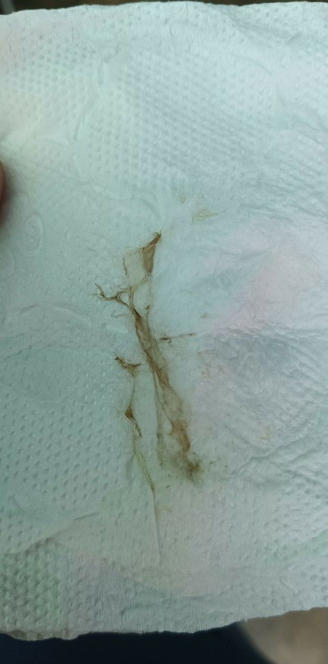 สอบถามแม่ๆหน่อยคะ