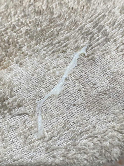 อันนี้เรียกว่ามูกใช่ไหมค่ะ