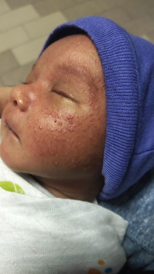 Sesiapa boleh tolong