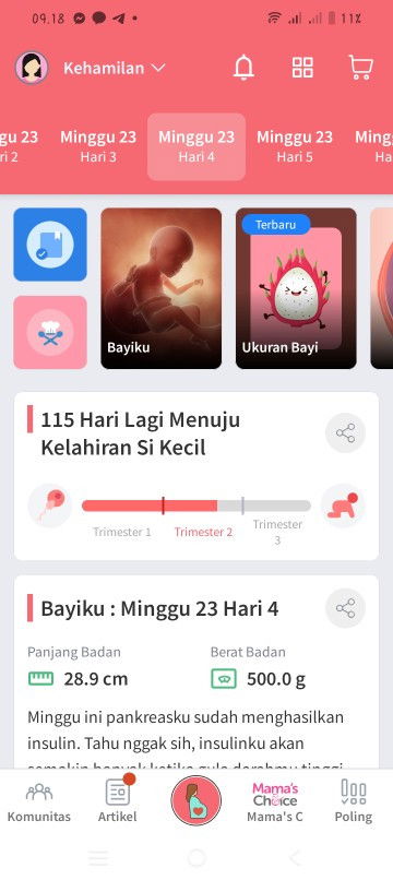 Tentang acara 7 bulanan