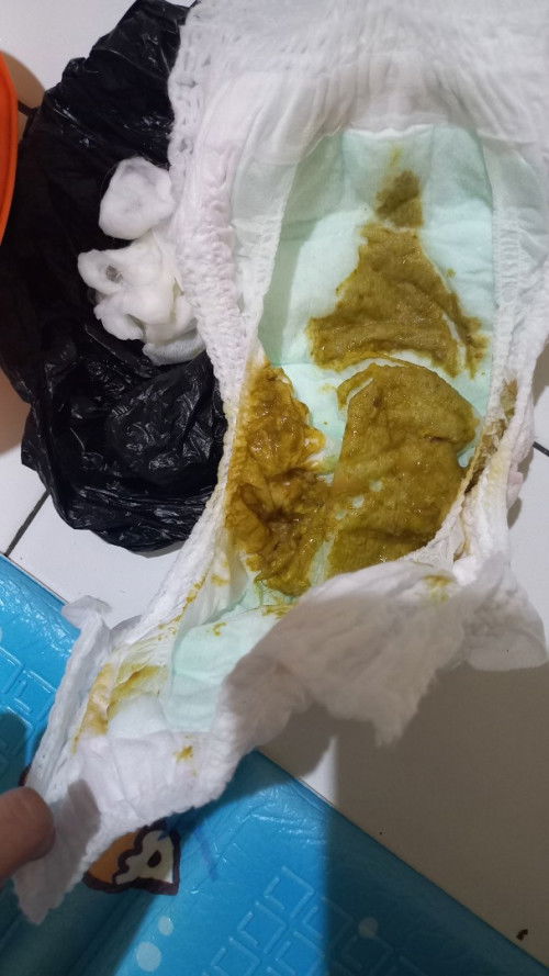 Pup bayi mpasi 6 bulan