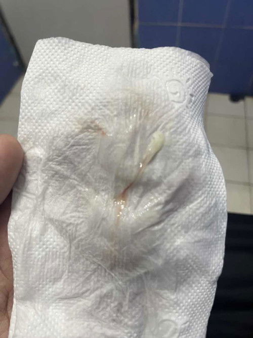 ขอสอบถามหน่อยค่ะ