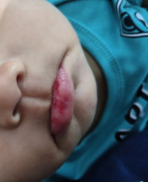 umur anak ku 6,5 bulan