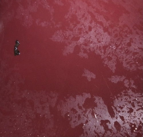 Flek cokelat hitam tm3