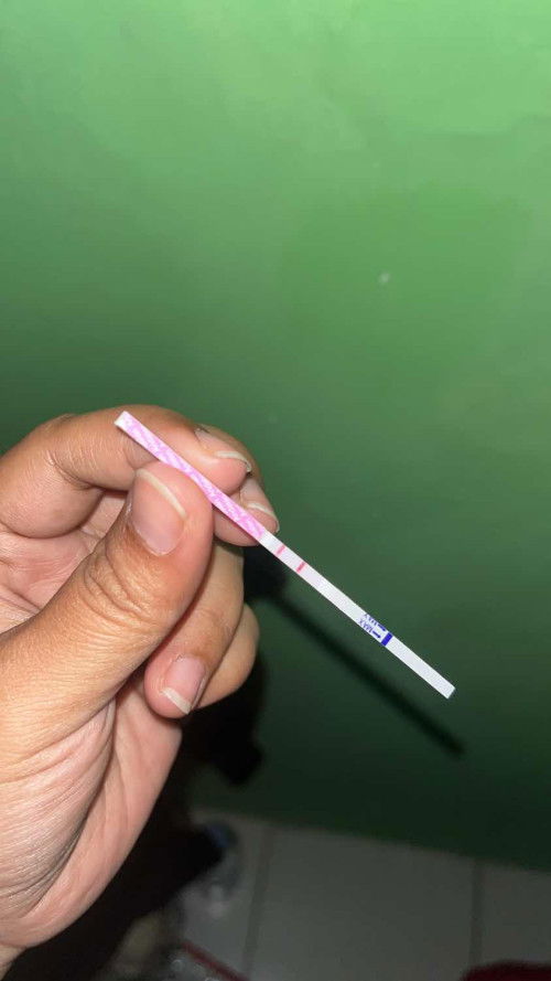 Awal Mula Masa Kehamilan