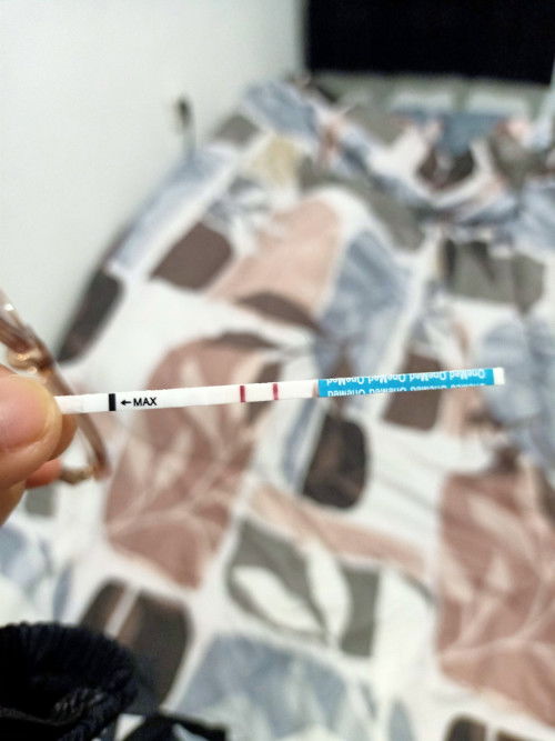 Terakhir haid tgl 12 Desember, 14 Desember nikah. Sudah bulan Januari tidak haid sama sekali