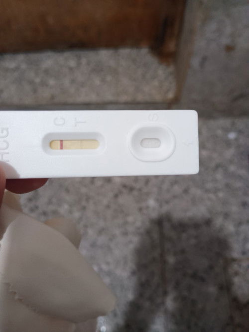Early pregnancy test