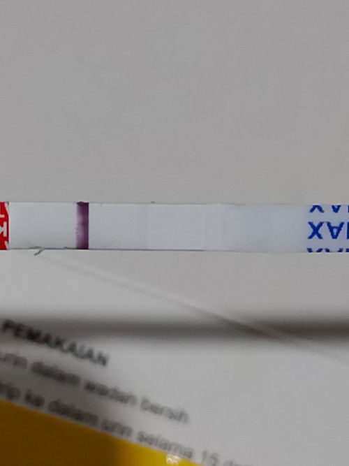 Apakah ini ini hamil