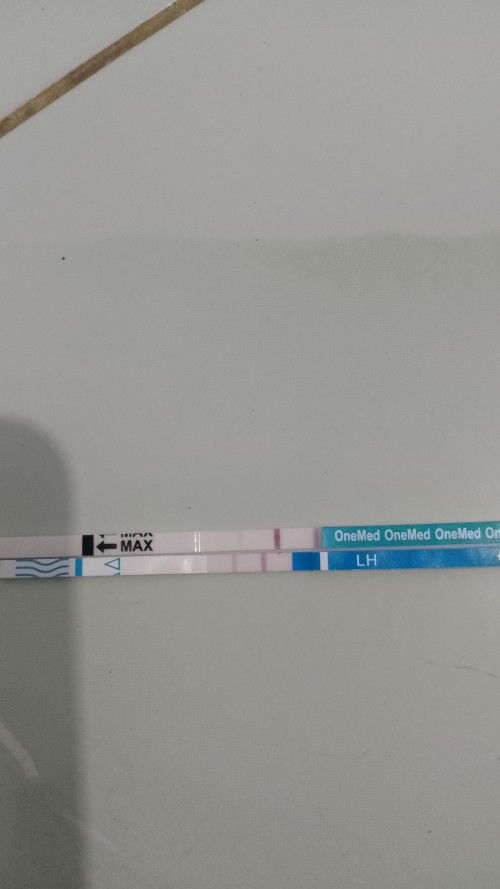 Ini hamil apa gimna takut di prankk