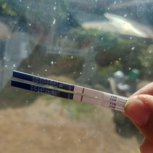 2ขีดจางๆเเบบนี้น้องมาเเล้วไช่มั้ยคะ