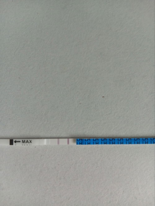 OPK TERANG DALAM DPO 10 NORMAL KE