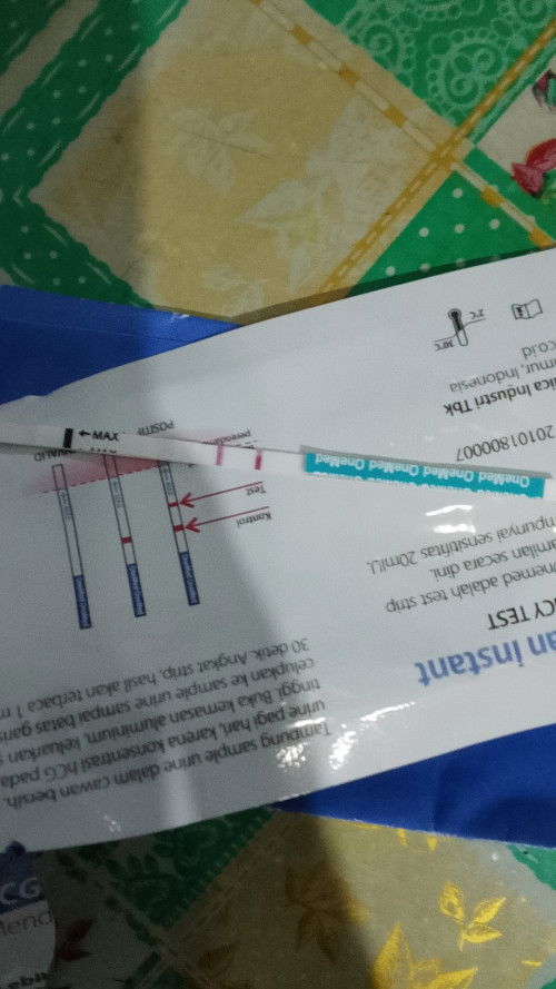 Tespek garis 2 belum telat haid