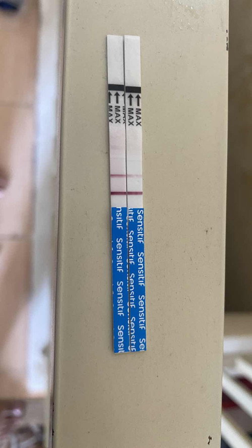 Baiknya test lagi kapan ya?