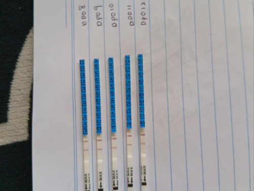 OPT TEST TERANG DPO 12