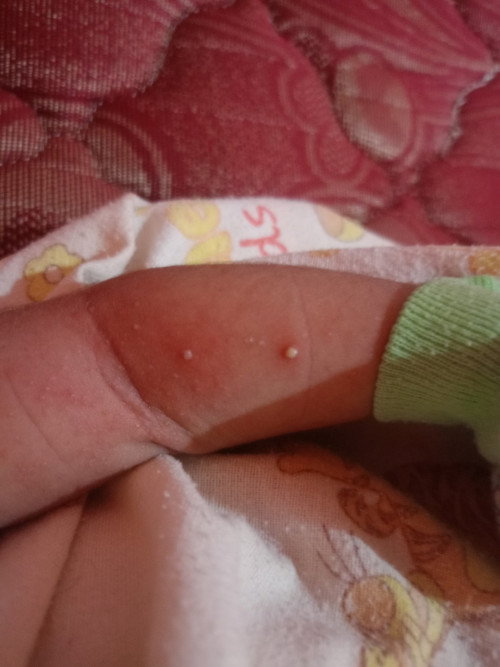 Momm ada yang tau tidak ini kenapa