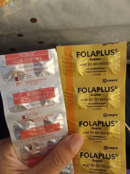 Obat Penguat Kandungan Nobor Allylestrenol dan Vitamin Folaplus
