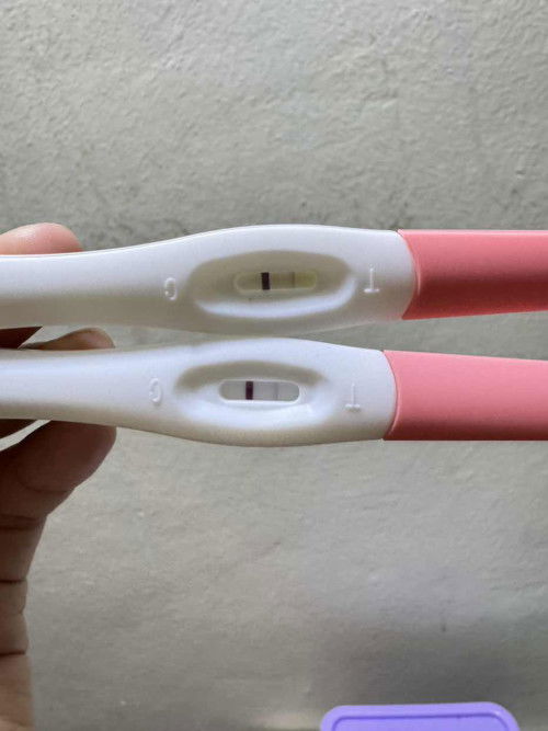 Hpht 20 januari 2026