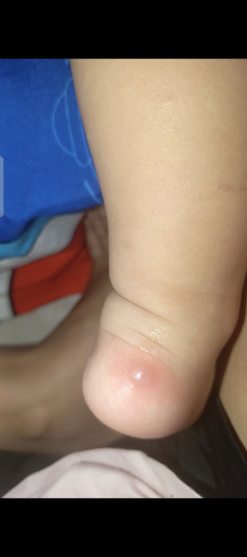 Halo bunda bunda tolong di bantu jawab ya