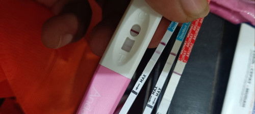 Ijin tanya bunda-bunda