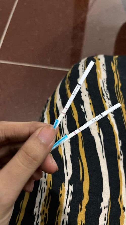 Hamil dua garis tebal