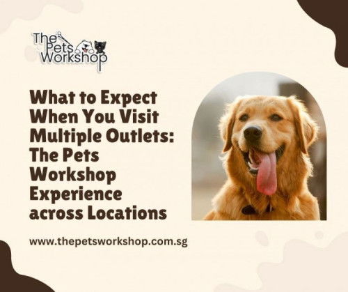 What to Expect When You Visit Multiple Outlets: The Pets Workshop Experience across Locations-The Pe