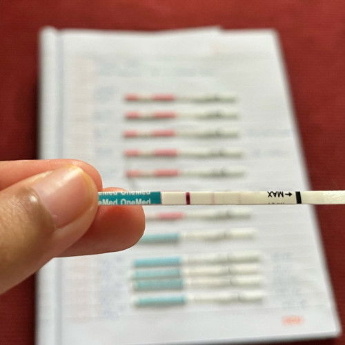 Hasil Tes 28 Februari