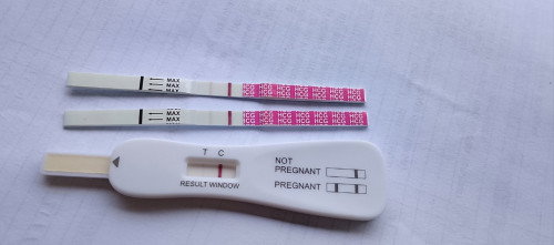 Ini mcm mana eh,last peroid 14/1, sepatutnya 9/2 sya proid tpi tak,tdi try test samar pulak..