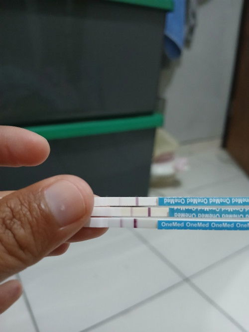 Hpht 29januari tgl haid 28febuari