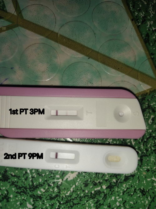 Pregnancy test