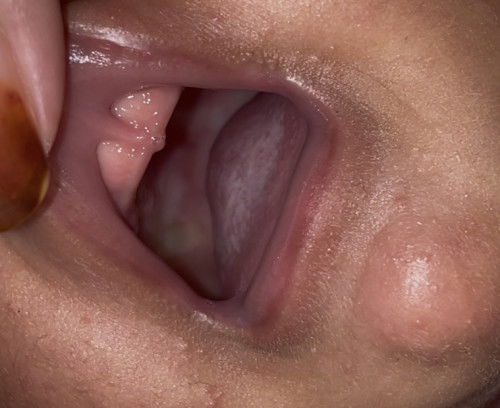 bun mau tanya, ini liptie bukan ya?