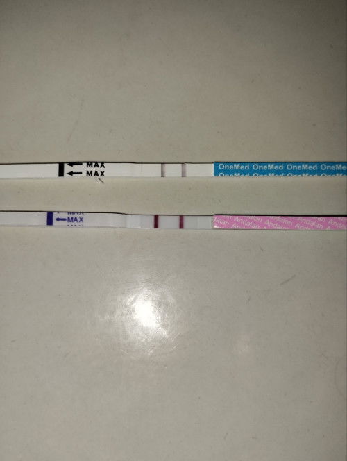 Hpht 21 Jan
Usia 6 Minggu, sudah ada yg USG bun?
Rencana sy mau USG di 7-8 w biar bisa denger djj