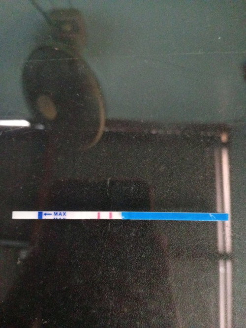 Nak tanya ni double line ko sbb first time dapat hasil test macam ni