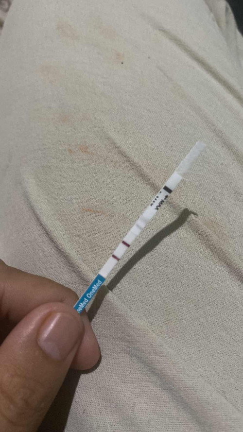 Hamil kedua