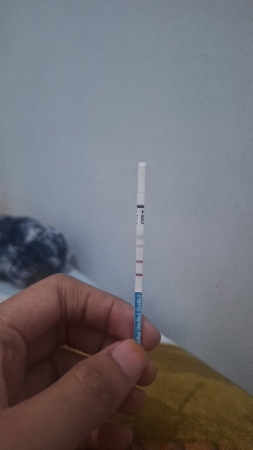 CEK TESPEK