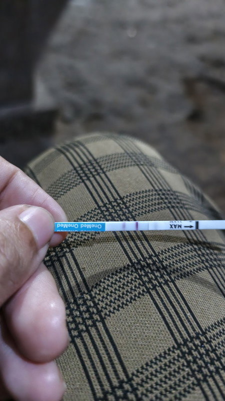 Hptp nya tgl 4feb pas cek garis dua samar ini trmsuk hamil blm ya bun