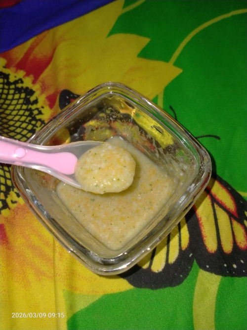 Mpasi 6 bulan 11 hari