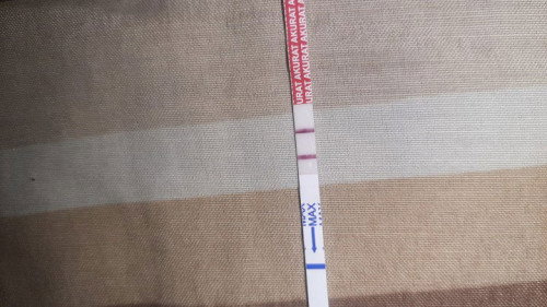 Hpht 3 feb 2026