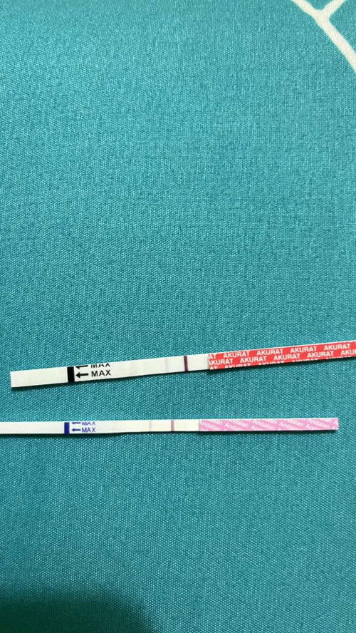 Hpht aku tgl 2 Februari 2026