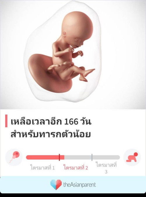 16สัปดาห์แล้วยังไม่รู้สึกว่าน้องตอดเลย