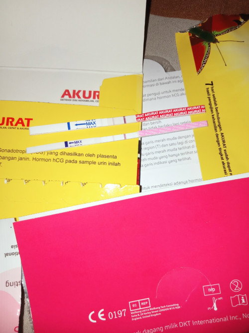 Hpht 3 feb , td mlm kluar drah lumayan bnyak brwrna pink kecoklatan. Kira2 knpa ya aku tes msh pstf?