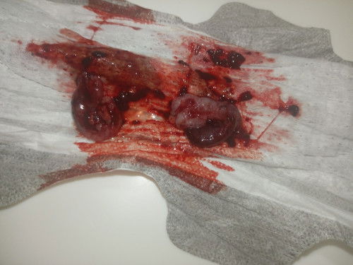 ใช่น้องไหมค่ะ