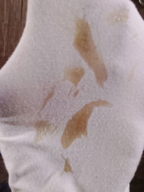 ขออนุญาตถามแม่ๆๆคะ