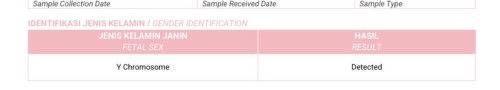 Sudah tau jenis kelamin di usia 10 minggu dari NIPT