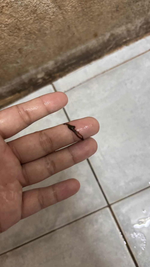 ท้องได้8 สัปดาห์ค่ะ