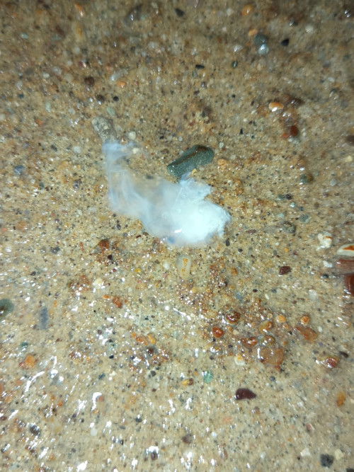 Maaf klo jijik/jorok yaa bun🙏