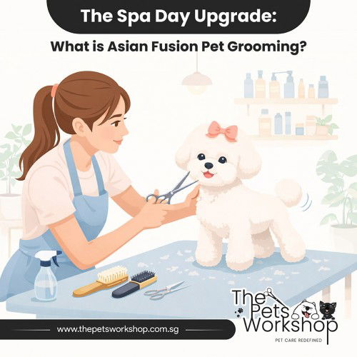 The Spa Day Upgrade: What is Asian Fusion Pet Grooming?-The Pets workshop
