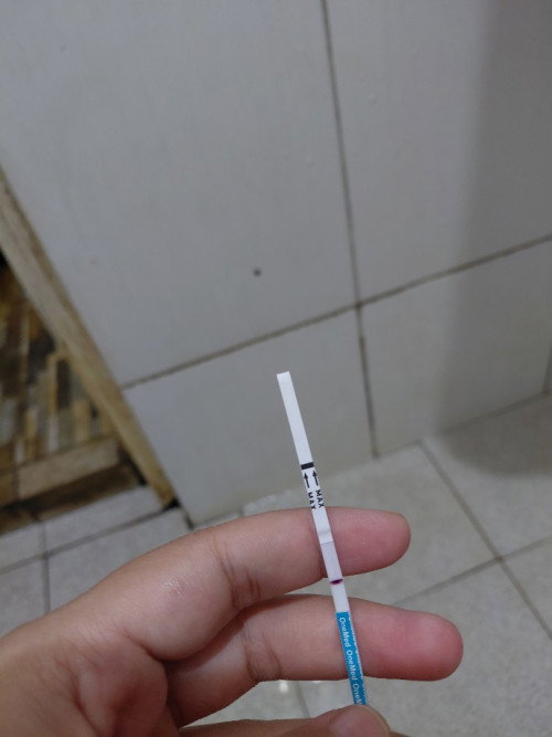 Telat 13 hari hpht 6 feb tapi tespek negatif