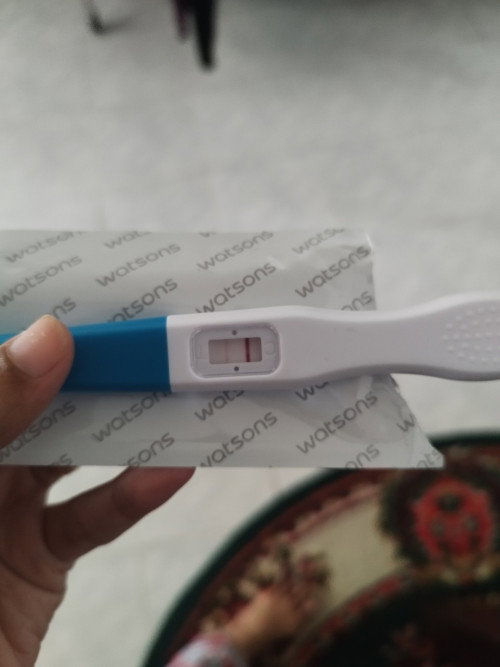 +pregnant Tapi period