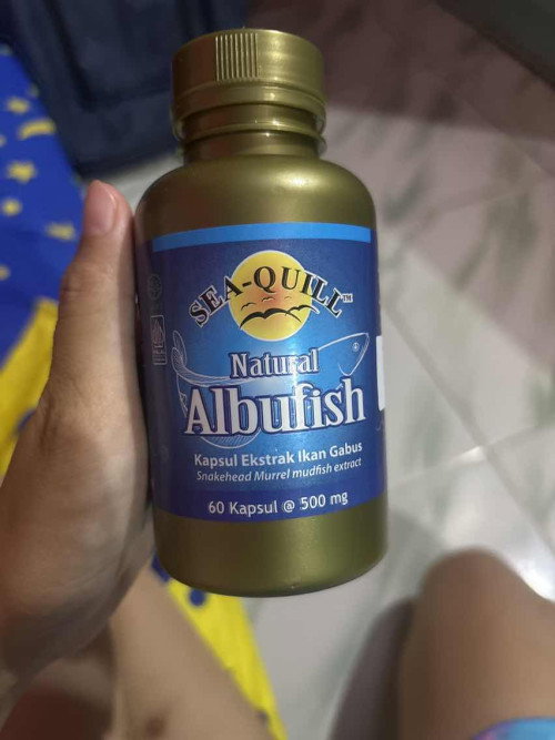 Kapsul ikan gabus