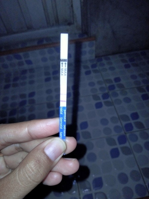 garis 2 samar